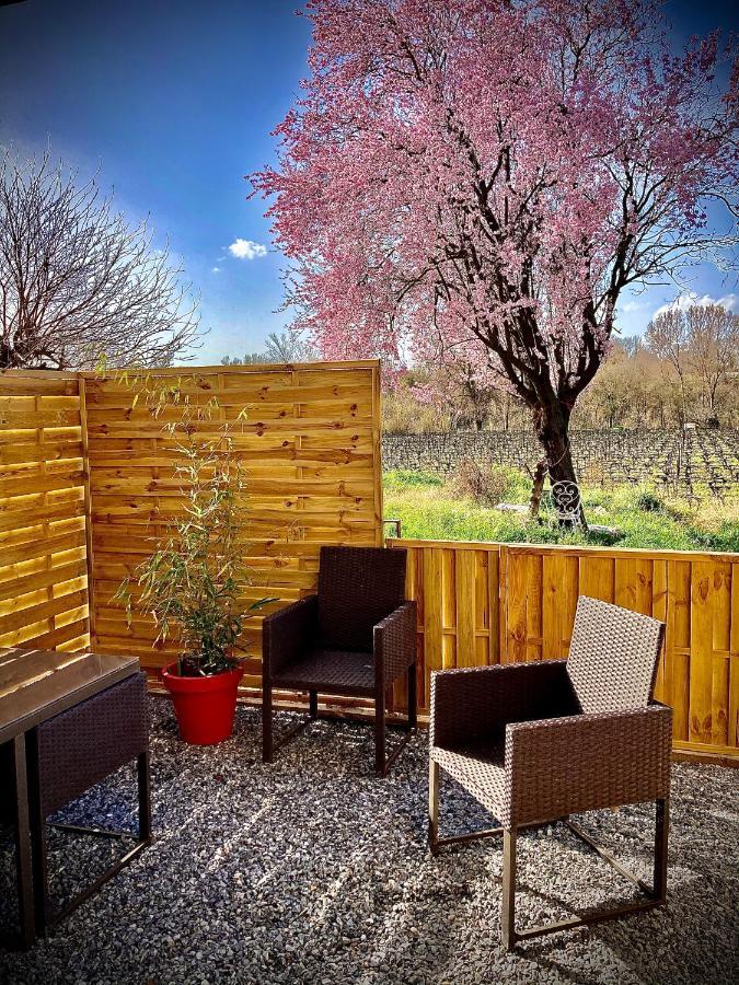 Lodging Au Milieu Des Vignes & Des Etoiles Saint-Jean-de-Fos 外观 照片